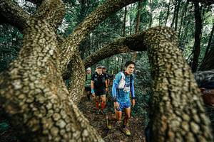 BIB: 
                            <button type="button" onclick="openModal(25393137)" class="btn btn-primary btn-sm float-right btn-popup" data-toggle="modal" data-target=".modal-high-quality">
                        <i class="fas fa-shopping-cart"></i> Add to Cart
                    </button>
                                            <button type="button" onclick="isThisMe(25393137, true)" class="btn btn-success btn-sm float-right btn-popup btn-isme hidden" data-toggle="tooltip" data-placement="bottom" title="นี่คือรูปของคุณใช่ไหม คลิกที่นี่เพื่อเอาเข้าอัลบั้ม">
                        <i class="fas fa-plus"></i> Add to album
                    </button>
                    <button type="button" onclick="isThisMe(25393137, false)" class="btn btn-warning btn-sm float-right btn-popup btn-isnotme hidden">
                        <i class="fas fa-ban"></i> Remove from album
                    </button>